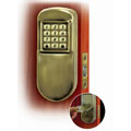 Antique Brass Finish Keyless Entry System
