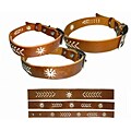 JLT Whip-stitch Leather Collar