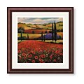 T.C. Chiu 'Fields of Poppies II' Framed Art Print