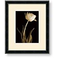 Charles Britt 'Classic Beauty' Framed Art Print