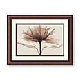 Steven N. Meyers 'A Rose' Framed Art Print