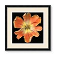 Harold Feinstein 'Exuberance' Framed Art Print