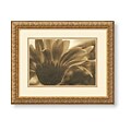 Judy Silverstein 'Gerberas I' Framed Art Print