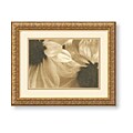 Judy Silverstein 'Daisies I' Framed Art Print