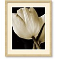 Cinzia Ryan 'Radiance I' Framed Art Print