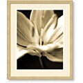 Cinzia Ryan 'Radiance III' Framed Art Print