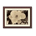 Dennis Kelly 'Spring Magnolia II' Framed Art Print