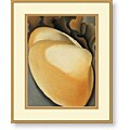 Georgia O'Keeffe 'Tan Clam Shell' Framed Art Print