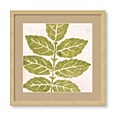 Swan Papel 'Pink Green Large Leaf' Framed Art