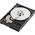 Dcc 160GB Internal Hard Drive (Refurbished)