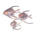 Set of Three Wall Fish