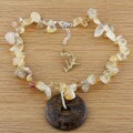 Bronzite Compact Disc Necklace (USA)