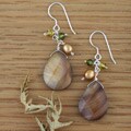 Sterling Silver Chestnut Shell Drop Earrings (USA)
