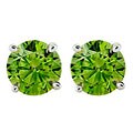 14k White Gold 1ct TDW Green Diamond Stud Earrings