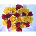 Bouquet of 24 Fresh-Cut Red and Yellow Roses