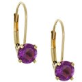 10k Yellow Gold Amethyst Levarback Earrings
