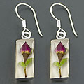 Sterling Silver Dried Flower Earrings (Mexico)