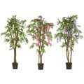 Wisteria 5-foot Silk Tree