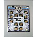 Tampa Bay Rays 2008 11x14 Matted Photo