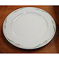 Rego Serena Restaurant Dinner Plates (Set of 12)