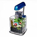 Razzle Dazzle Clear Package Aquarium
