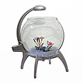 Globe Aquarium and Blue LED Light