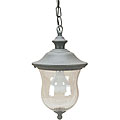 Seedy Grey Outdoor Hanging Light