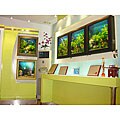 Aquavista 500 Aquarium with Classic Frame