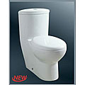 Baden Bath One Piece Toilet