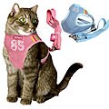 JLT Pets Soft Air-mesh Cat Harness/ Leash Set
