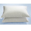 Comfort Chamber Natural Pillows (Set of 2)