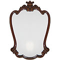 Nicolette Mocha Mirror