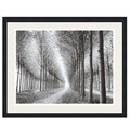 Chip Forelli Tree Parade Framed Print