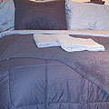 Blue 13-pc Reversible Comforter Set (Full)