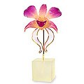 Natural Orchid 'Romance' Small Statuette (Thailand)