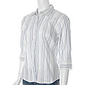 Fluid Fashion Women's Blue Striped Career Shirt