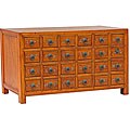 Chinese Calligraphy Storage/ Medicine Cabinet