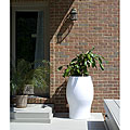 Oola Original Planter
