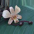 Natural Orchid 'Exotic Cinnamon Bloom' Necklace (Thailand)