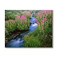 'Creek, Mt. Rainer, Washington' Unframed Canvas Art