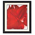 Georgia O'Keeffe 'Red Cannas' Framed Art Print