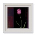 Rick Filler 'Red Tulip II' Framed Art Print
