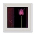 Rick Filler 'Red Tulip I' Framed Art Print