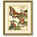 Vision Studio 'Whimsical Butterflies II' Art Print