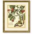 Vision Studio 'Whimsical Butterflies I' Framed Art Print