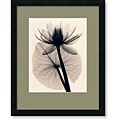 Judith McMillan 'Tropical Water Lily' Framed Art