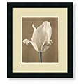Amy Melious 'Lumiere Tulip II' Framed Art Print
