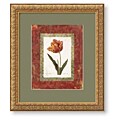 Carol Robinson 'Tulipe Cultivee' Framed Art Print