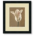 Amy Melious 'Lumiere Tulip I' Framed Art Print