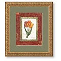 Carol Robinson 'Tulip de Gesner' Framed Art Print